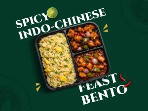 Spicy Indo-Chinese Party